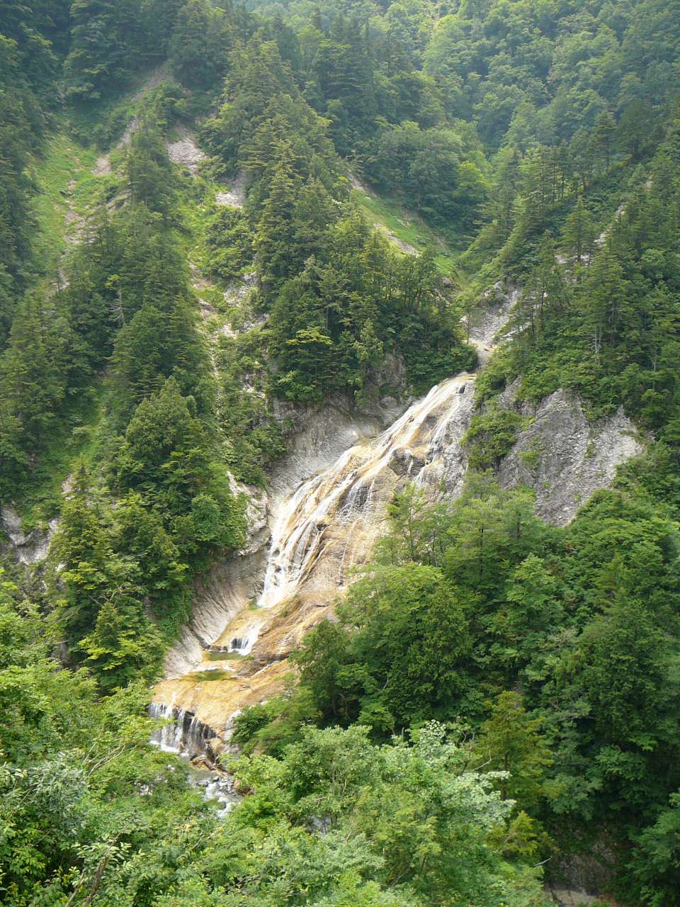 林道から見た姥ヶ滝